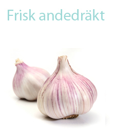 Frisk andedräkt