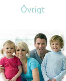 Övrigt