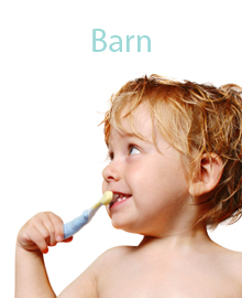 Barn